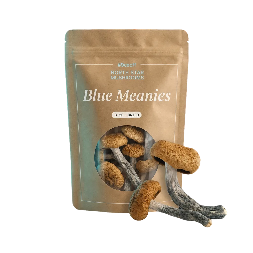 Blue Meanies magic mushroom