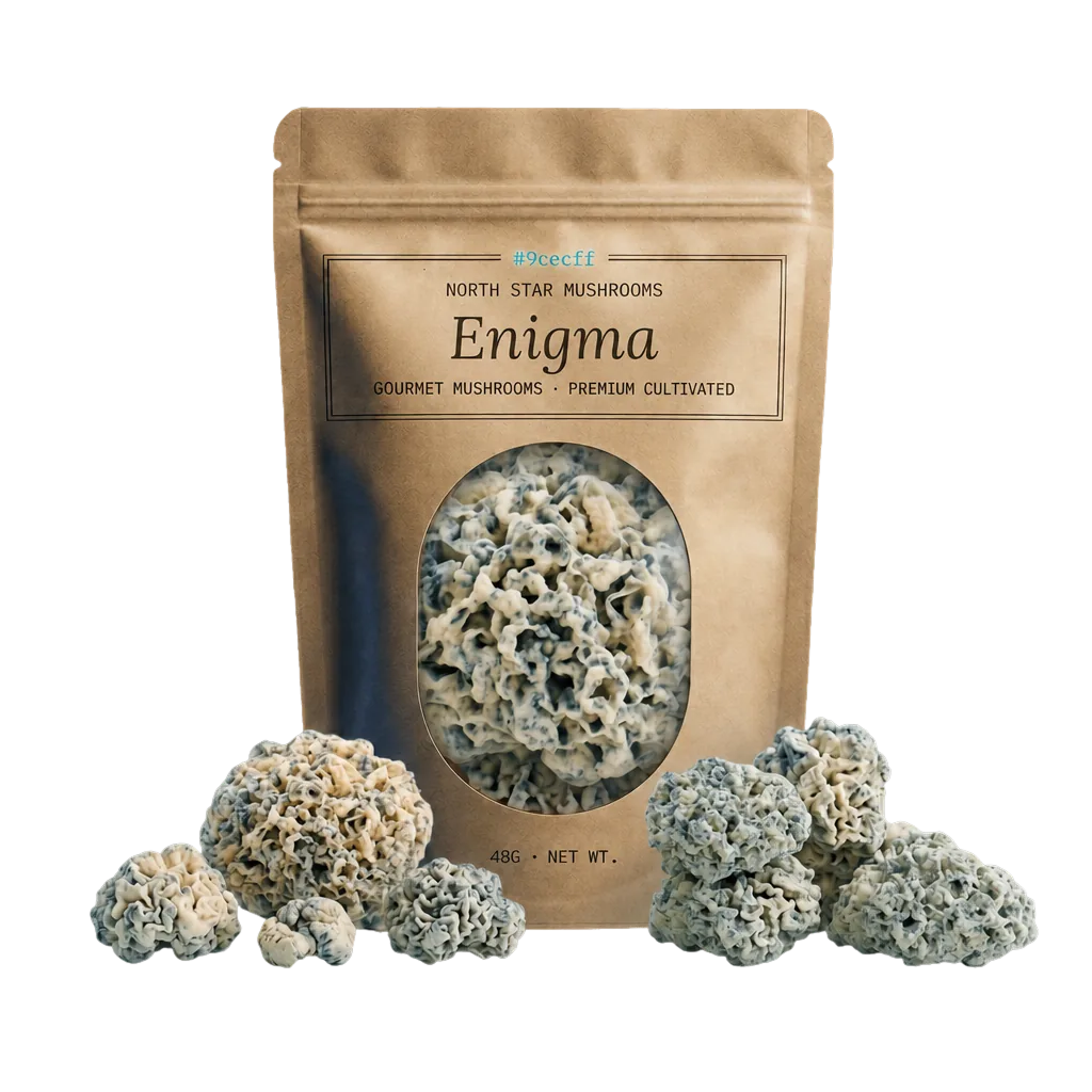 Enigma magic mushroom