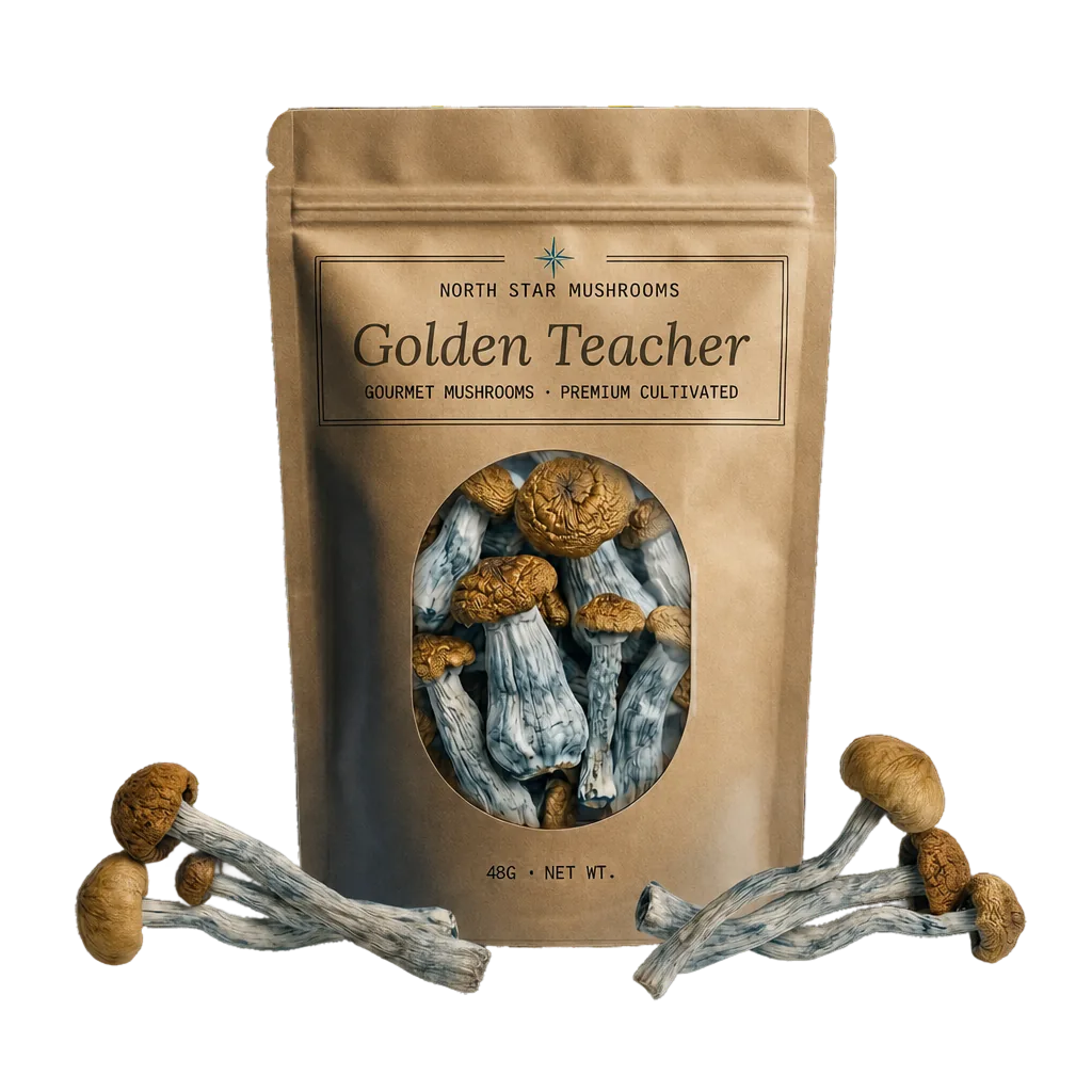 Golden Teacher magic mushroom