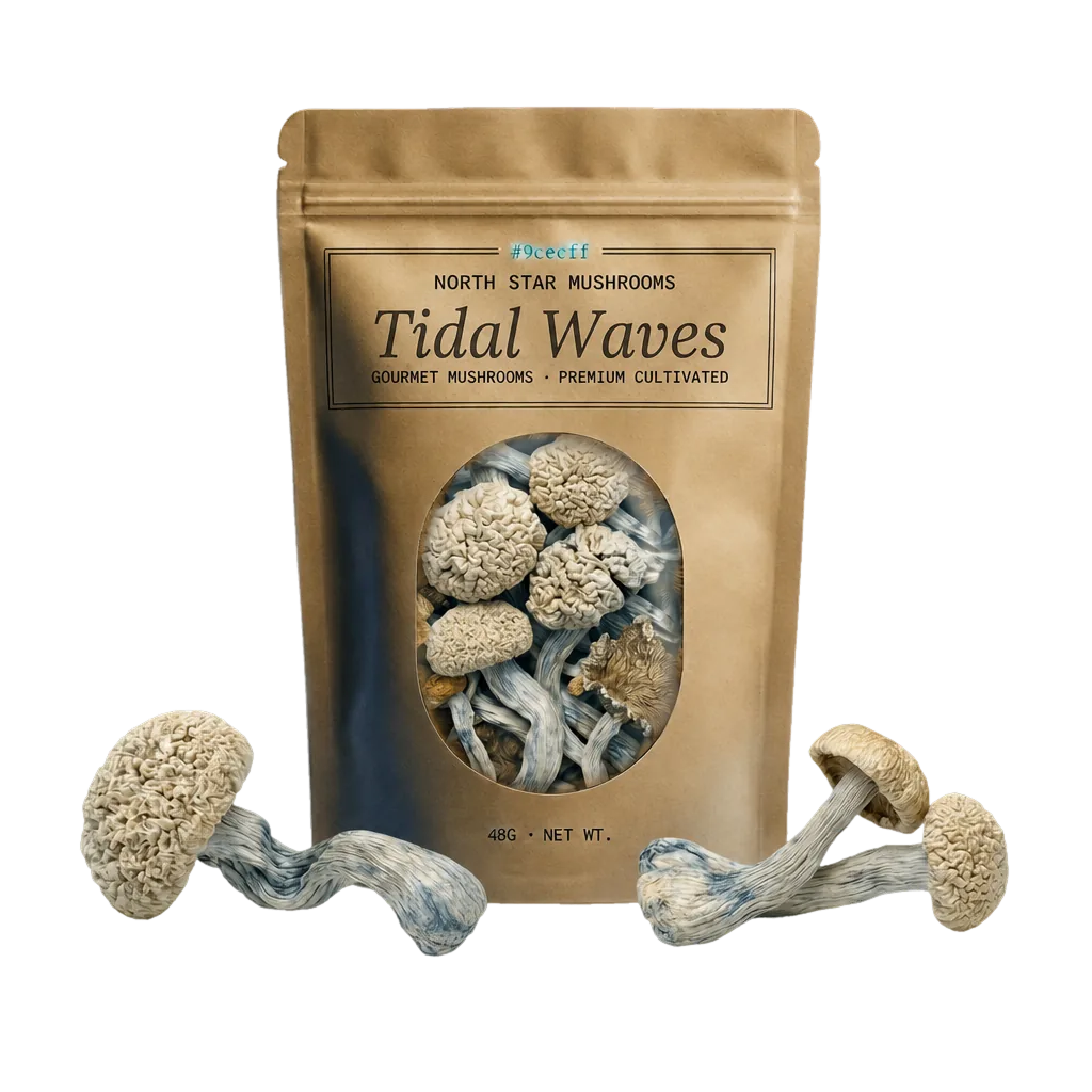 Tidal Waves magic mushroom