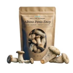 Albino Penis Envy — Dried Magic Mushrooms