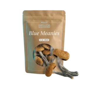 Blue Meanies — Dried Magic Mushrooms