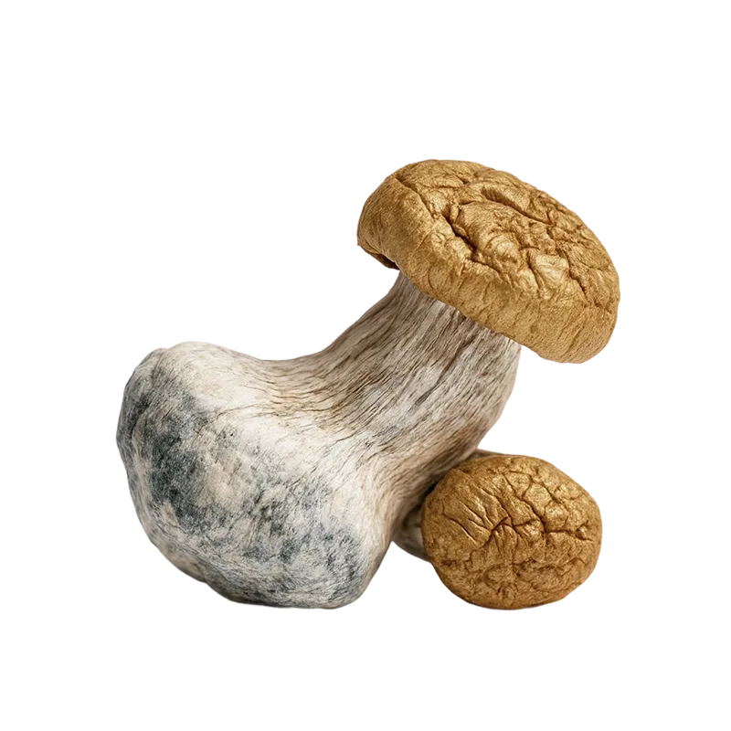 Bluey Vuitton Smurf — Dried Magic Mushrooms - Image 2