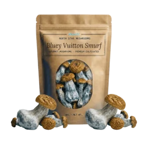 Bluey Vuitton Smurf — Dried Magic Mushrooms