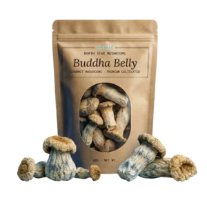 Buddha Belly — Dried Magic Mushrooms