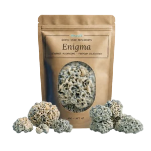 Enigma — Dried Magic Mushrooms