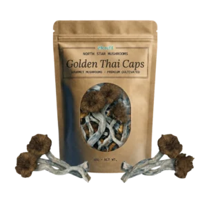 Golden Thai Caps — Dried Magic Mushrooms