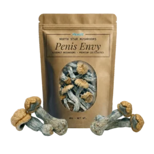 Penis Envy — Dried Magic Mushrooms