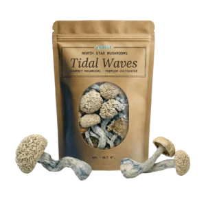 Tidal Waves — Dried Magic Mushrooms