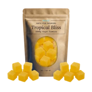 Tropical Bliss — 500mg Vegan Gummies